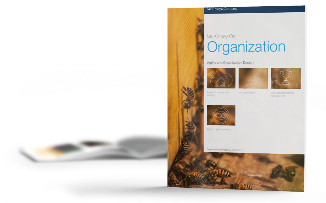 Agility and Organization Design | McKinsey